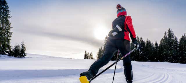 Ski de fond dans le parc national Pyhä-Luosto