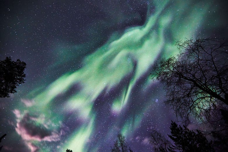 Auroras boreales sobre Tajukangas