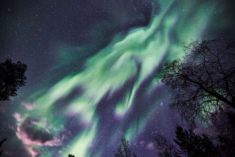 Northern Lights in Tajukangas