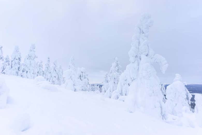 Vistas del Parque Nacional Pyhä-Luosto