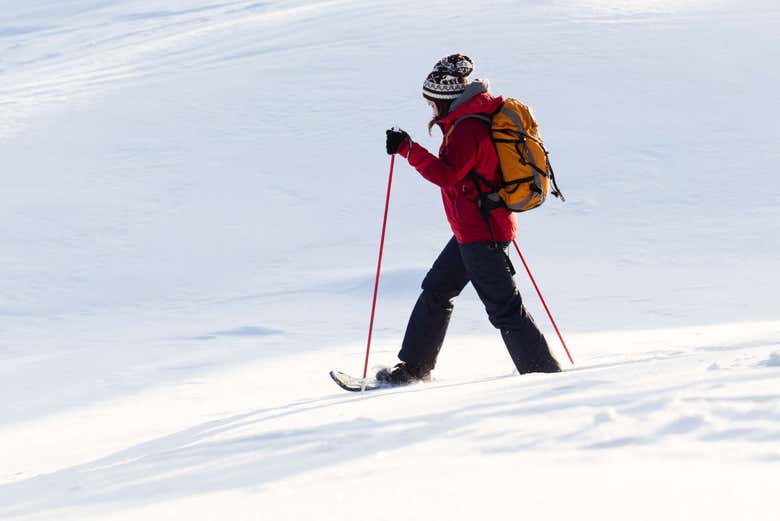 Passeggiata sulla neve