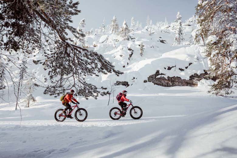 Giro in bici al Parco Pyhä-Luosto