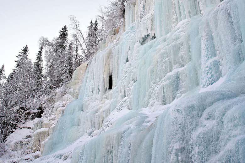 Riserva Naturale di Posio