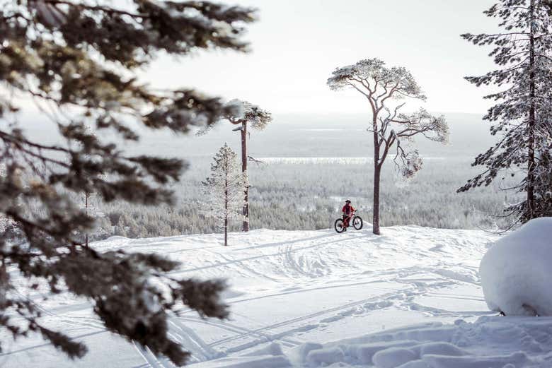 Rodeados de nieve