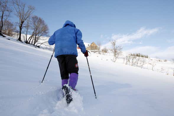 Passeio com raquetes de neve pelo Parque Nacional Pyhä-Luosto