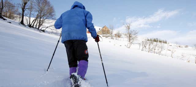 Paseo con raquetas de nieve por el Parque Nacional Pyhä-Luosto