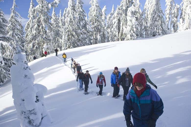 Haciendo senderismo por la nieve