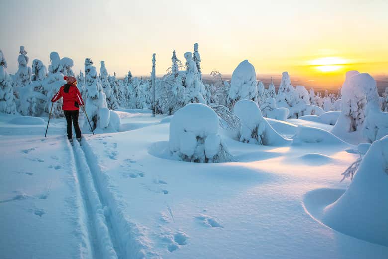 Paisajes nevados en Suomu Ski Resort