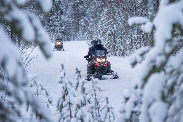 Atravesando el bosque blanco de Vikaköngäs