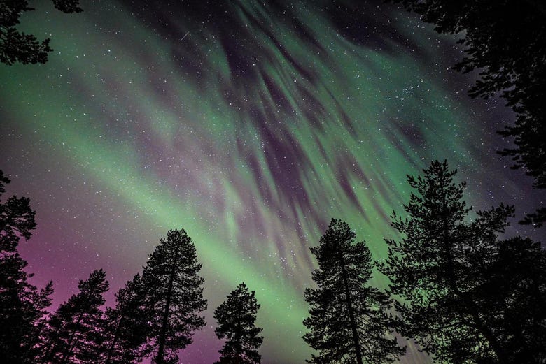 The northern lights over the forests in Rovaniemi