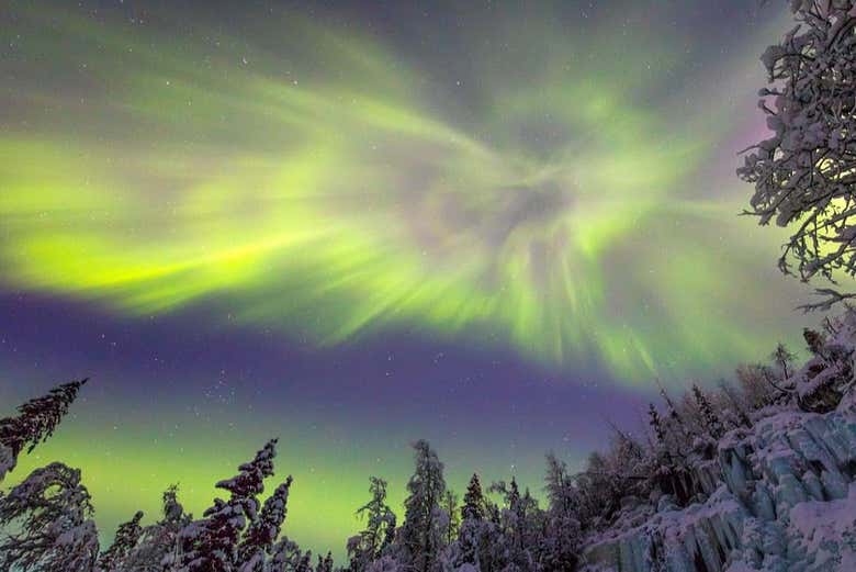 Tour de la aurora boreal