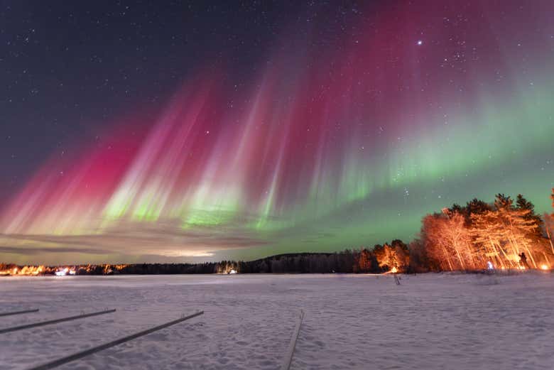 Bosque nevado de Rovaniemi