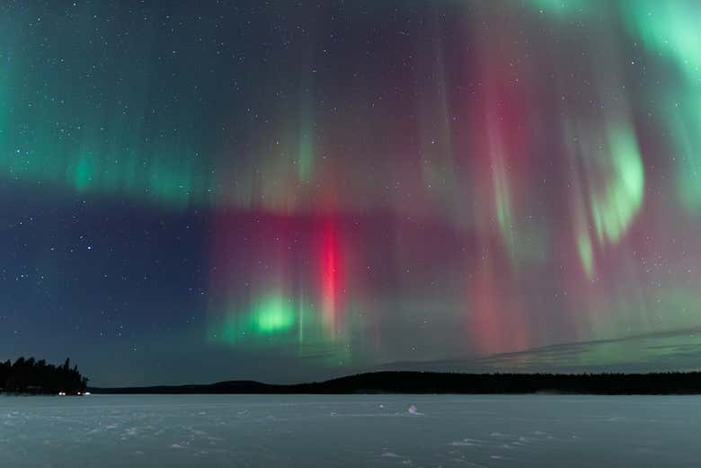 Veréis un espectáculo de la naturaleza