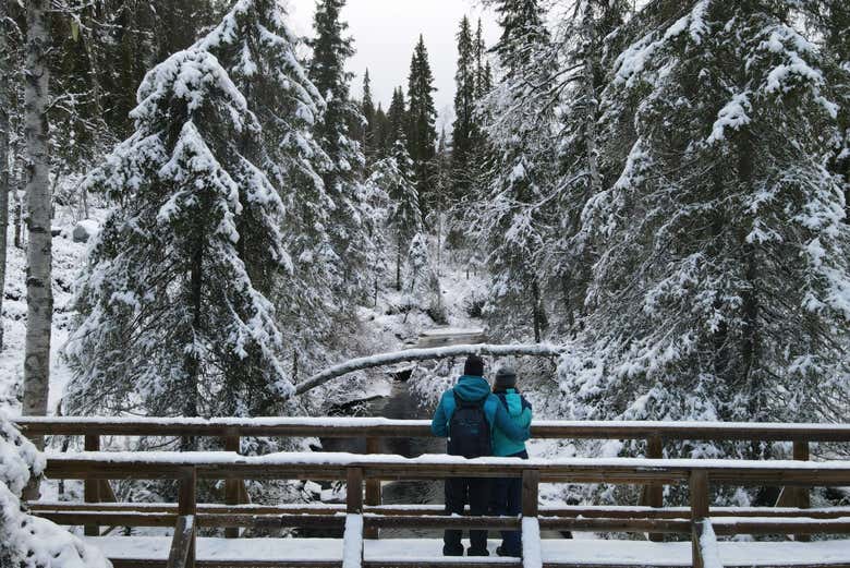 Contemplando l'ambiente circostante