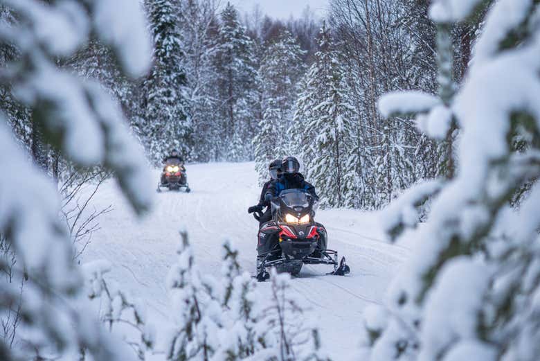 Explorez les forêts enneigées de Rovaniemi