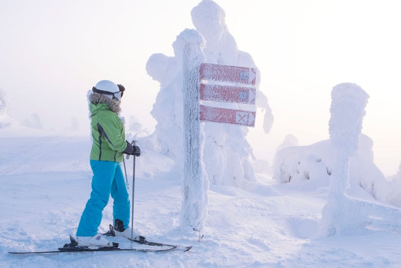ophobe bekvemmelighed Automatisk Levi Ski Trip from Rovaniemi - Book Online at Civitatis.com
