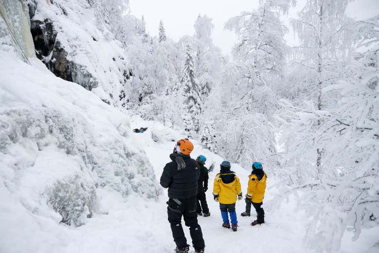 Caminando por los bosques nevados