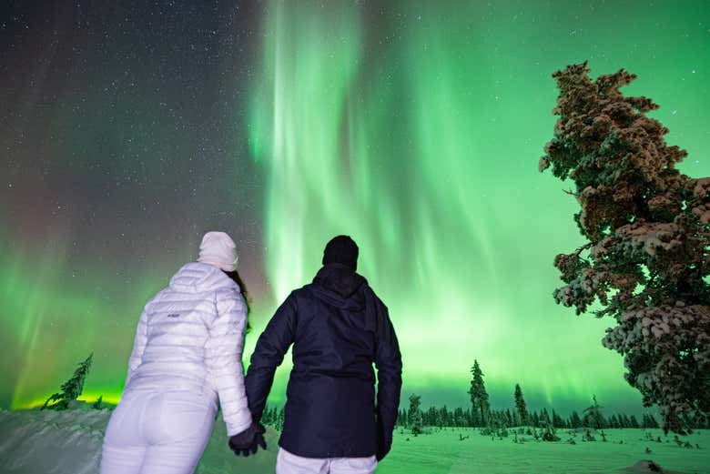 Forêt finlandaise avec les aurores boréales en arrière-plan