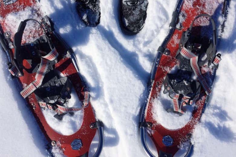 Snowshoes