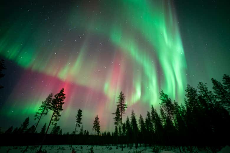 Las auroras formándose en el cielo