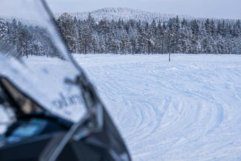 Admire Vikaköngäs' landscape