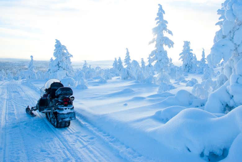 Enjoy the snowmobiles