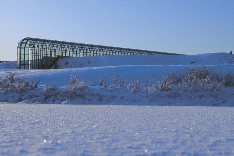 Beautiful snow