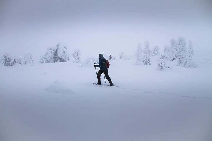 Marchez dans la neige à l'aide de raquettes