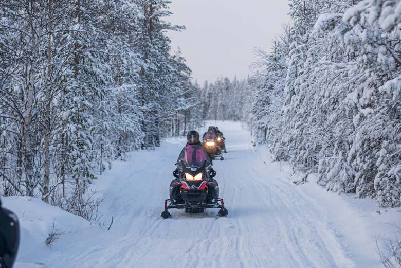 ¡Un recorrido inolvidable por Vikaköngäs!