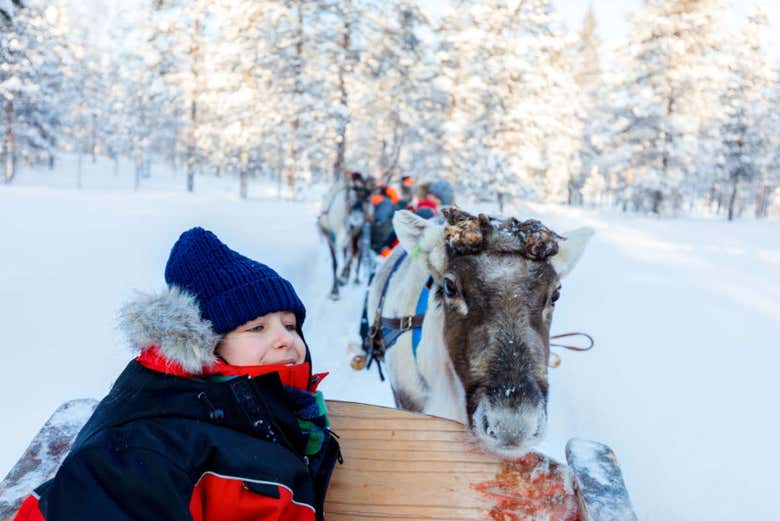 Enjoy the reindeer sleigh ride