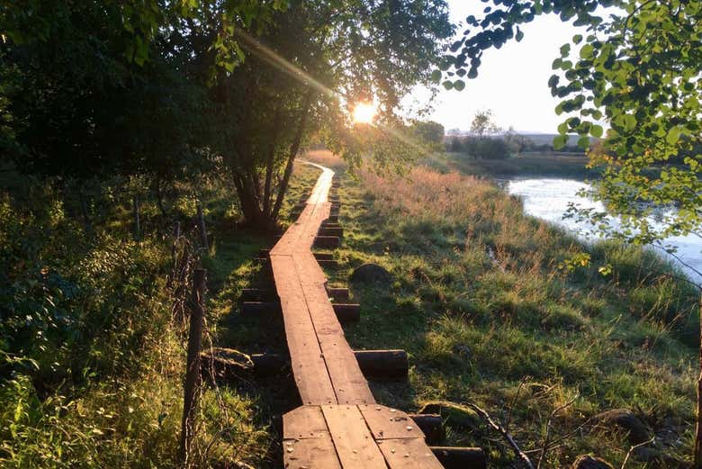 Paysages de Rovaniemi