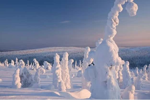 Parque Nacional de Riisitunturi