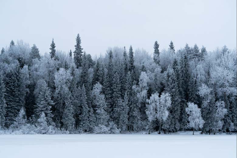 Paisagem nevada de Rovaniemi