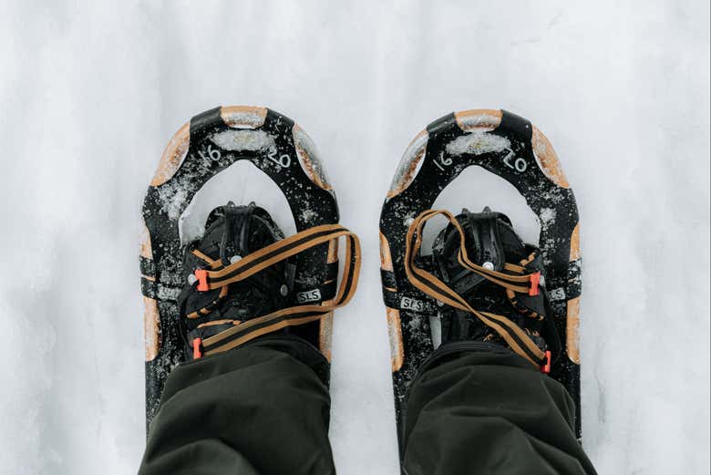 Las raquetas de nieve durante el tour por Vikaköngäs