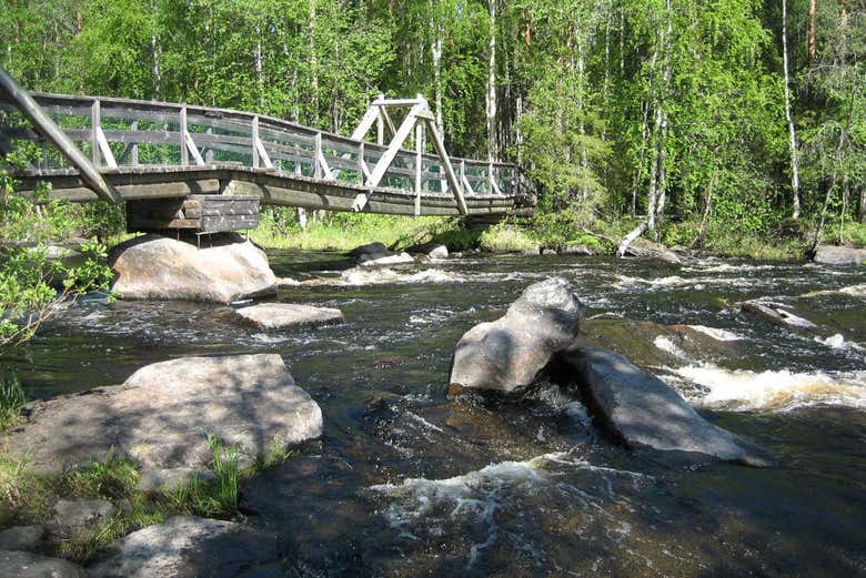Senderismo por Vikaköngäs