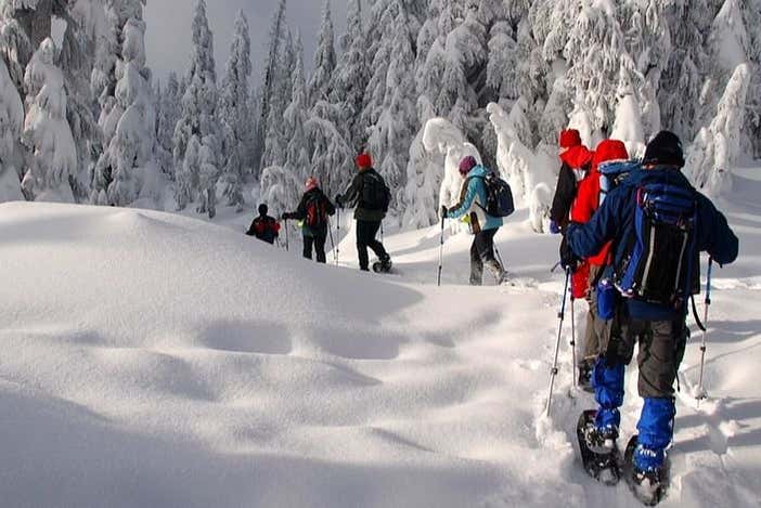 Ruta en raquetas de nieve por Rovaniemi