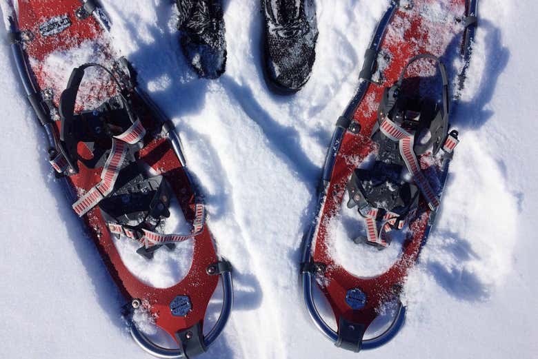 Raquetas en la nieve