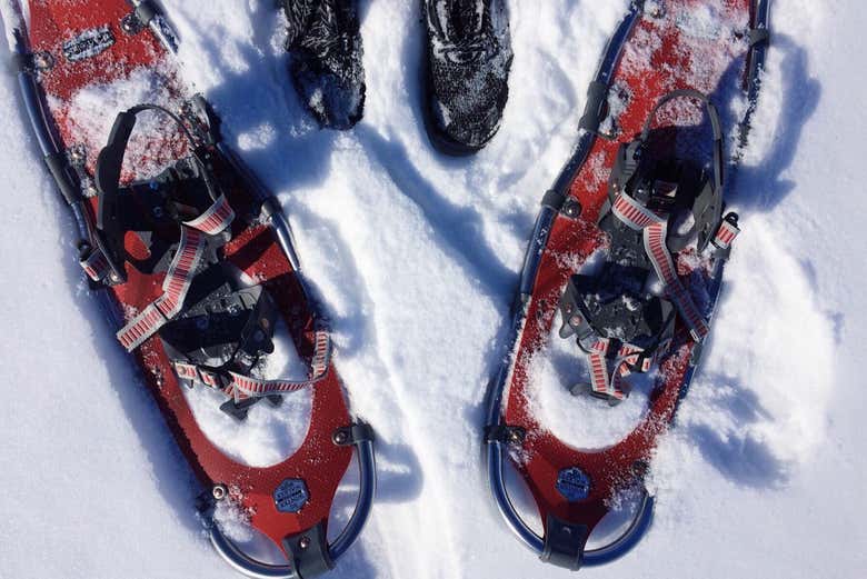 Las raquetas de nieve que utilizaremos para el tour
