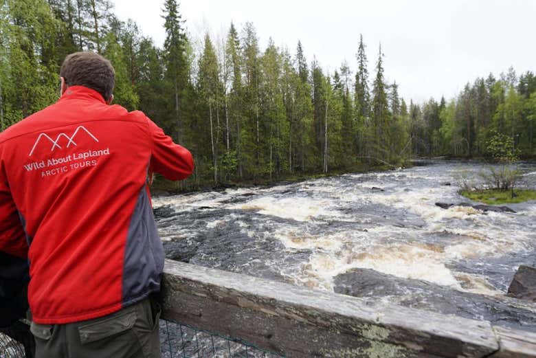 Les rivières de Rovaniemi