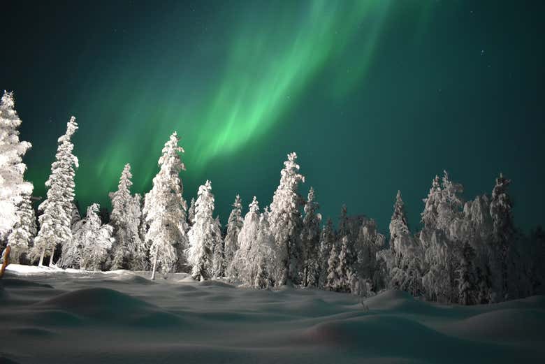 Rovaniemi bajo la aurora boreal
