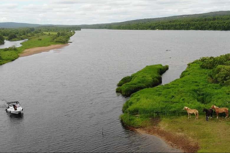 Tendréis unas vistas increíbles de la naturaleza de Rovaniemi