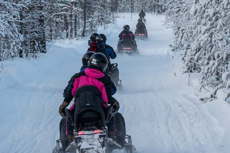 Atravesando los senderos de Vikaköngäs
