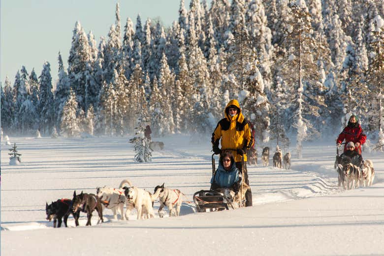 Balade en traîneau tiré par des huskies