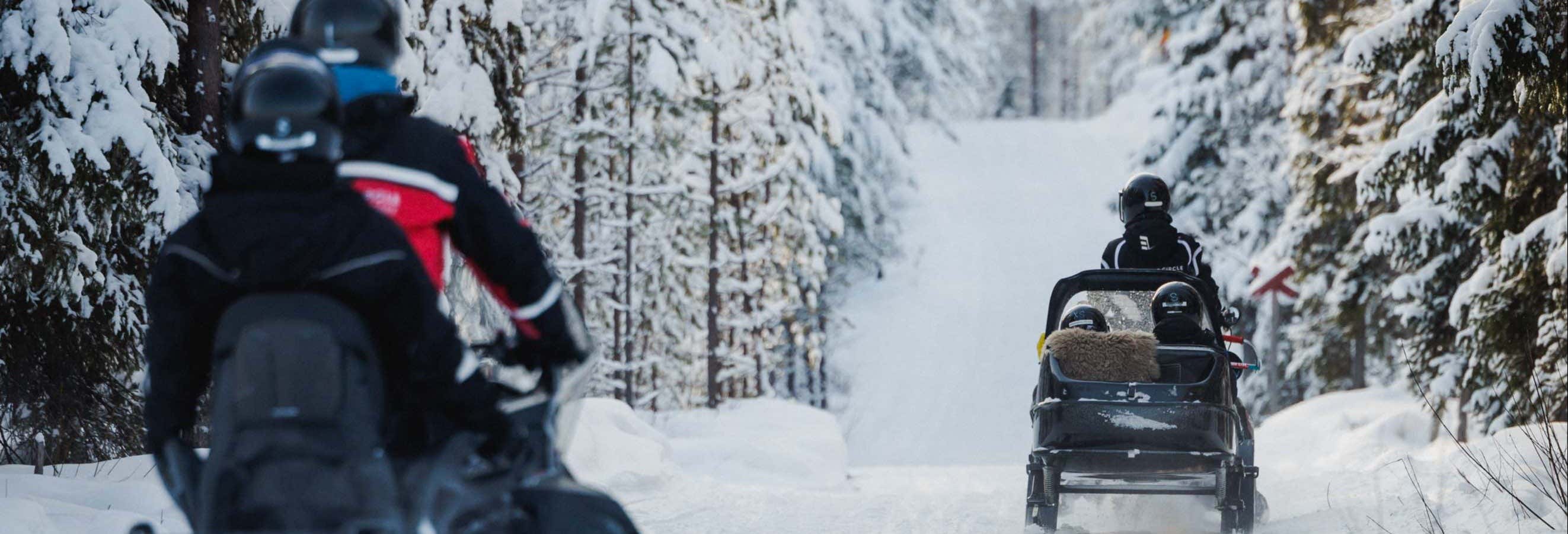 Acción y naturaleza