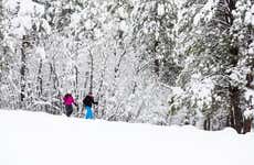 Paseo en moto y raquetas de nieve por Vikaköngäs