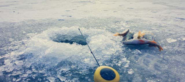 Balade en raquettes à neige + Pêche sur glace