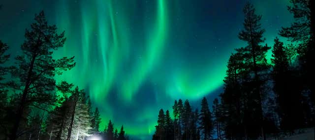 Northern Lights Husky Sleigh Ride