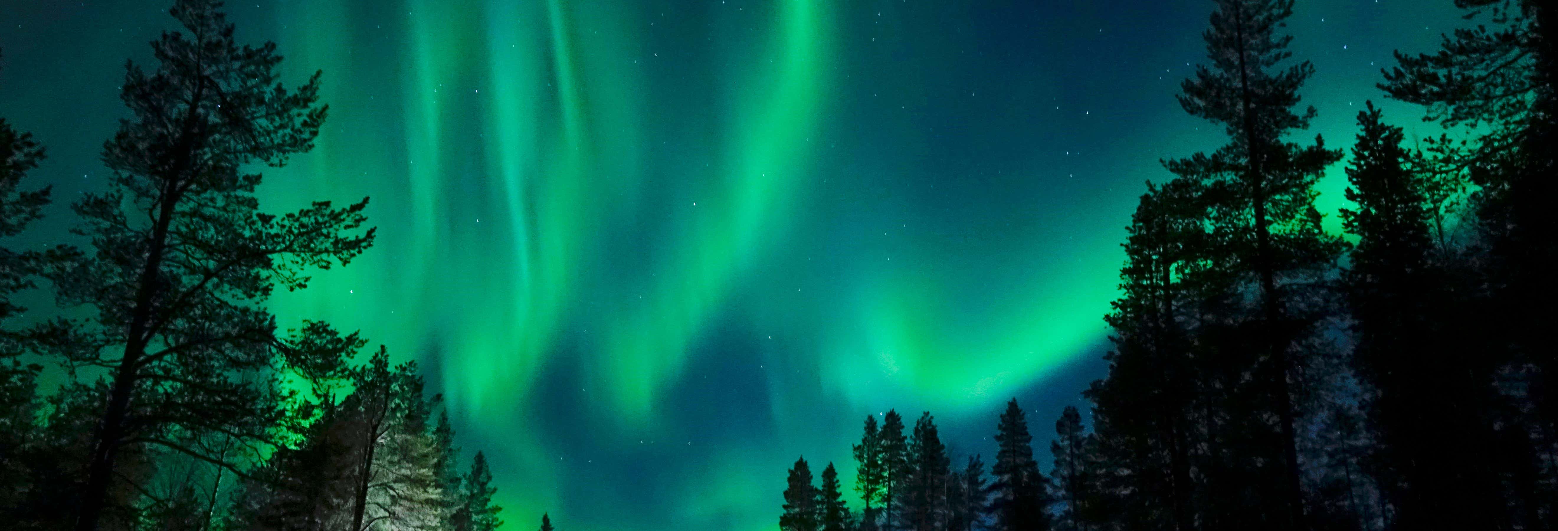 Paseo en trineo en Rovaniemi