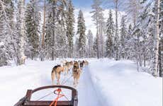 Passeio de trenó com cães husky por Rovaniemi