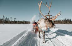 Reindeer Sleigh Ride